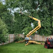 Best Tree Mulching  in Union Mill, VA